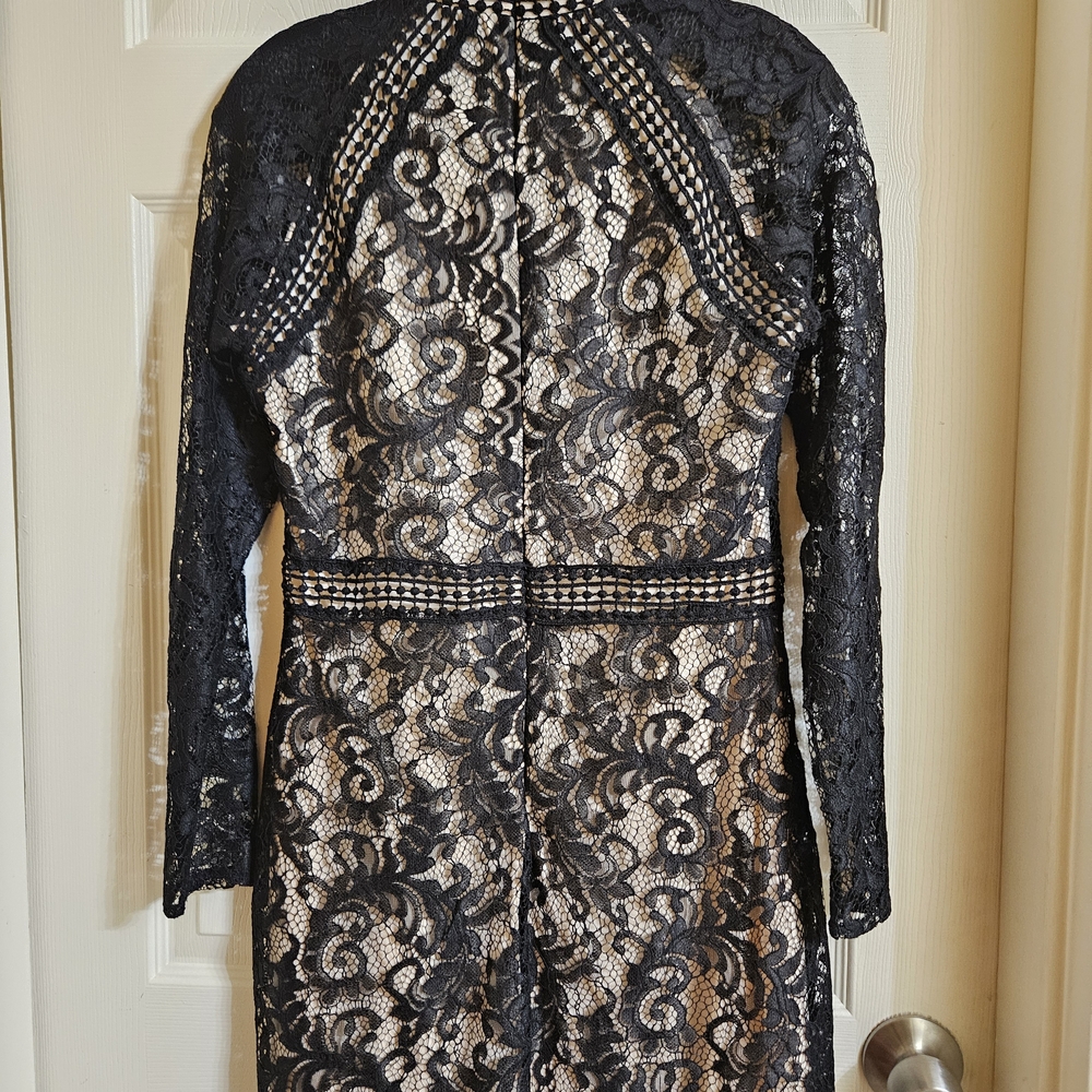 Chic Black Lace Mini Dress